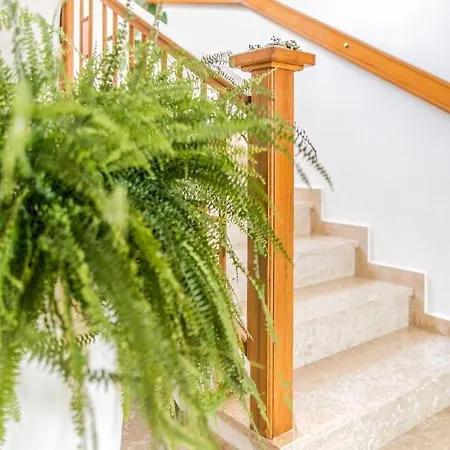 Casa Risolina For 10 Persons With Private Swimmingpool Vodnjan